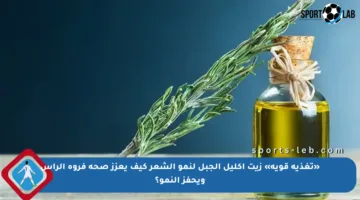 «تغذية قوية» زيت إكليل الجبل لنمو الشعر كيف يعزز صحة فروة الرأس ويحفز النمو؟